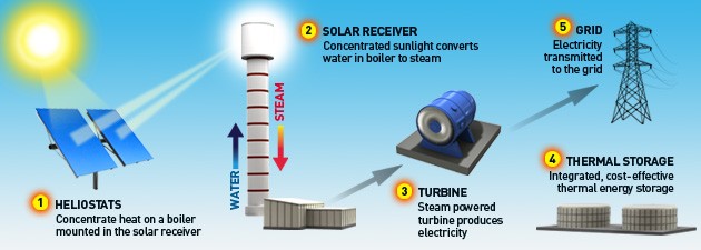 7.2 Plants As Solar Energy Converters